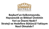 Bayburt‘un Kalkınmasında Hayvancılık ve Bitkisel Üretimin Yeri ve Önemi Nedir?